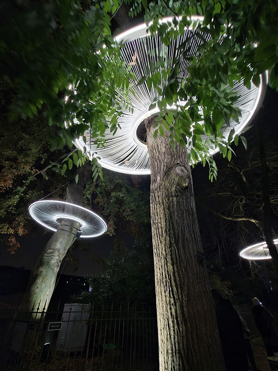 en voie d'illumination lumières de la nature