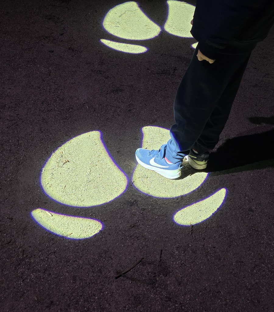 illuminations jardin des plantes 2025 thème