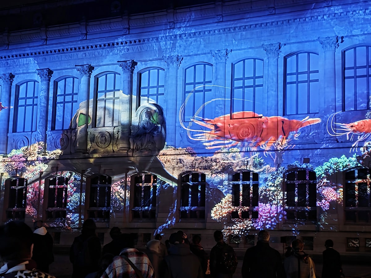 duree visite illumination jardin des plantes