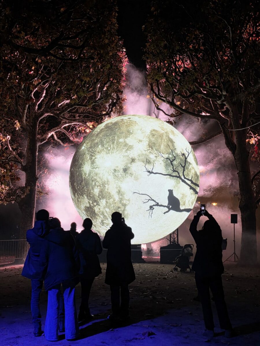 illumination noël jardin des plantes