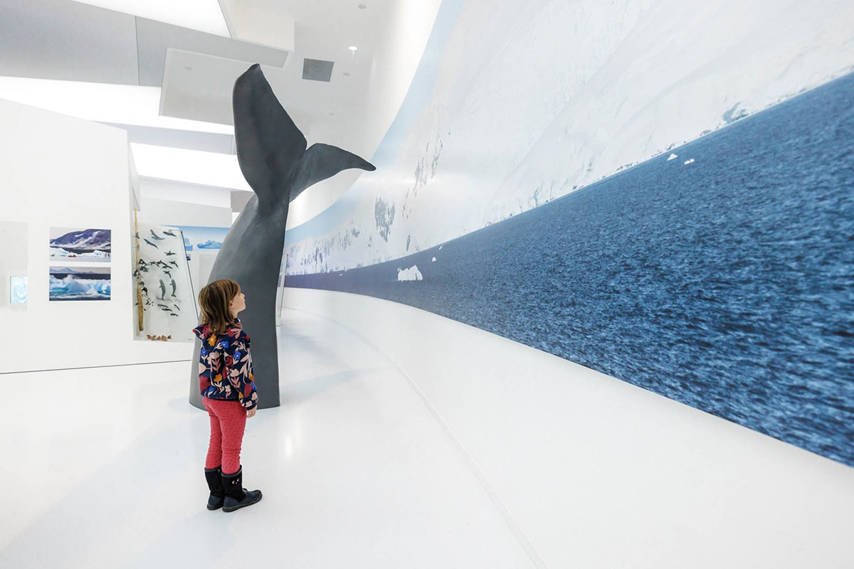 musée sensibilisation fonte des glaciers