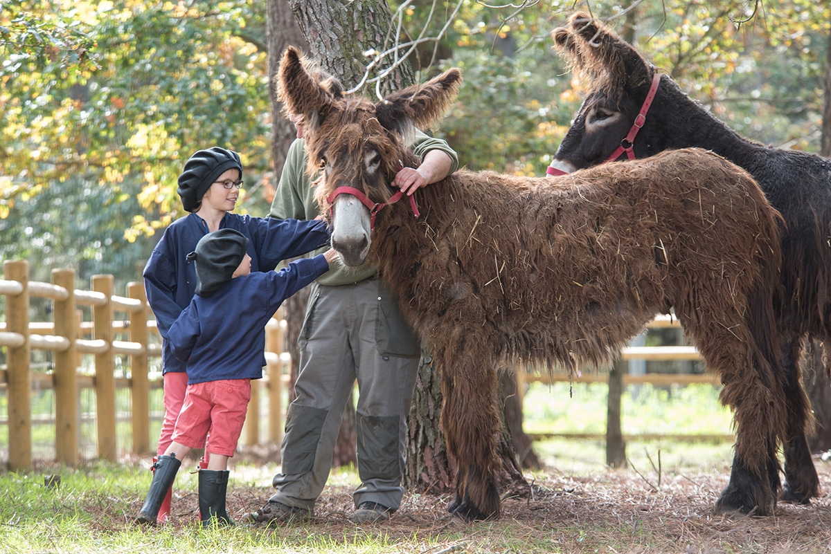 vacances nature tout compris avec des enfants 