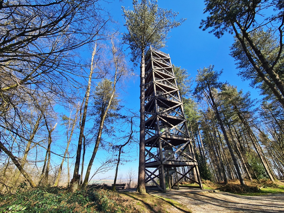 que faire autour de villers-cotterets