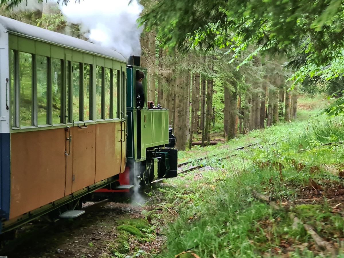 train forestier d'abreschviller en moselle avis