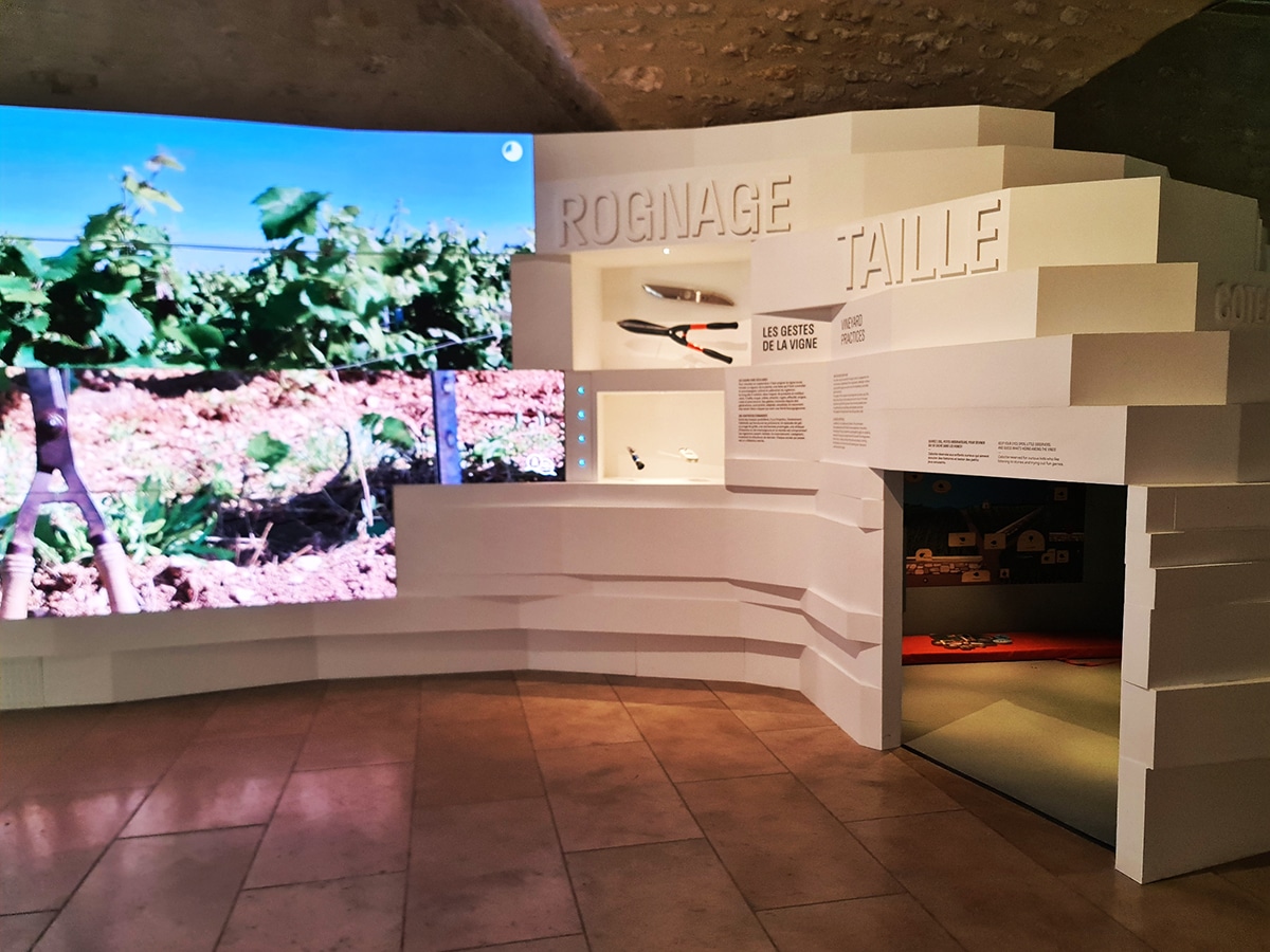 que visiter sur le thème du vin autour d'auxerre