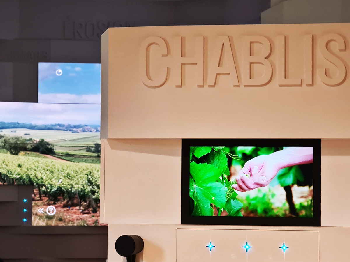 que faire à Chablis