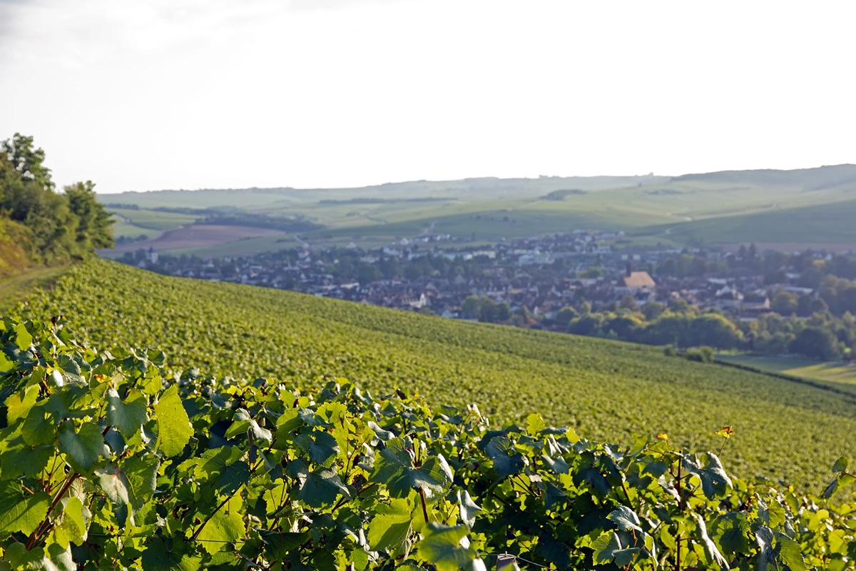 que faire autour d'Auxerre
