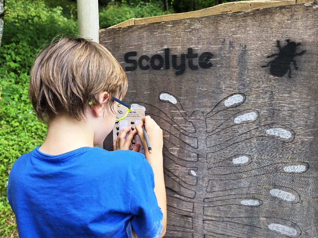 activités La Bresse l'été en famille
