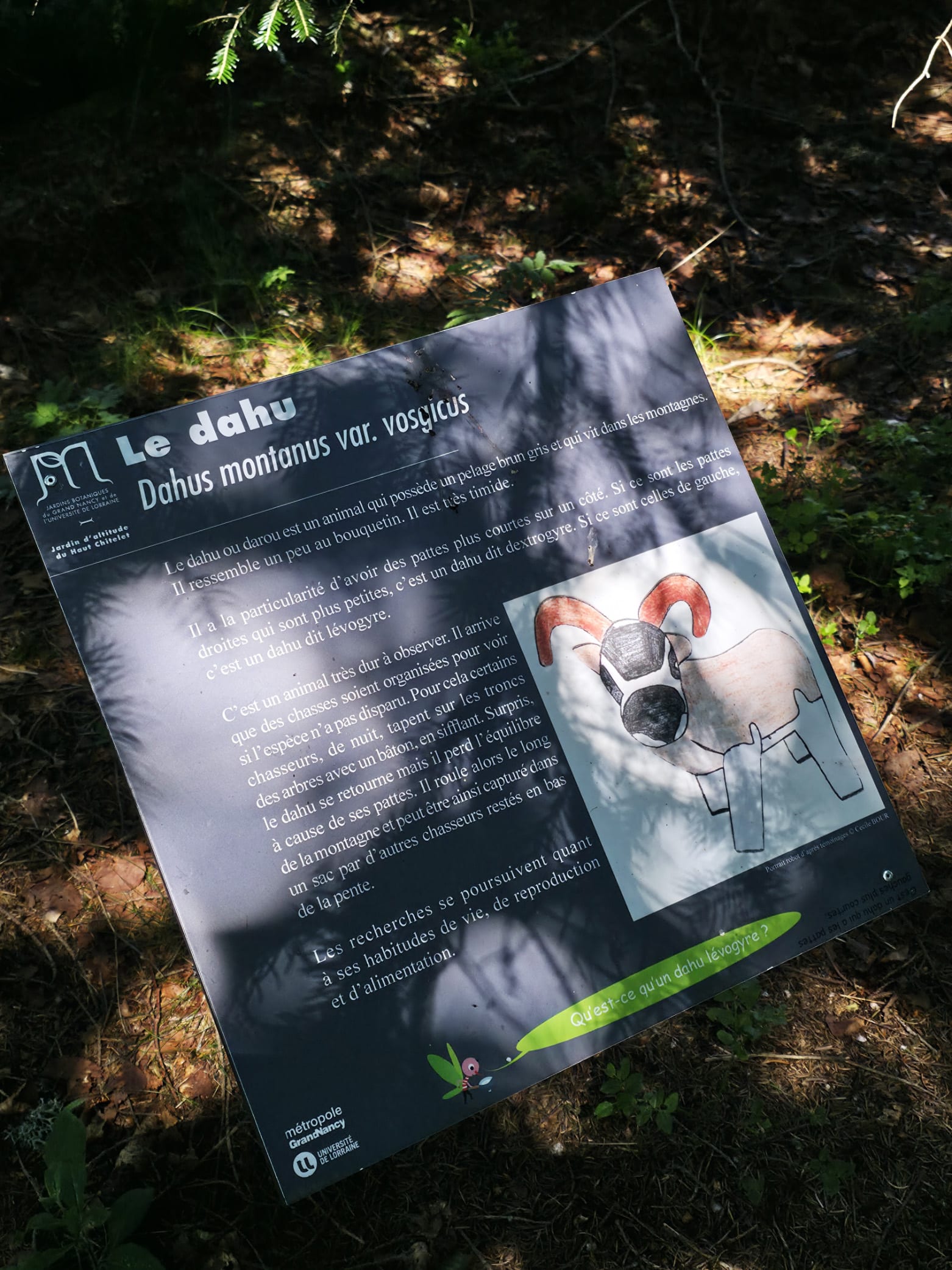 jardin du haut chitelet avec des enfants