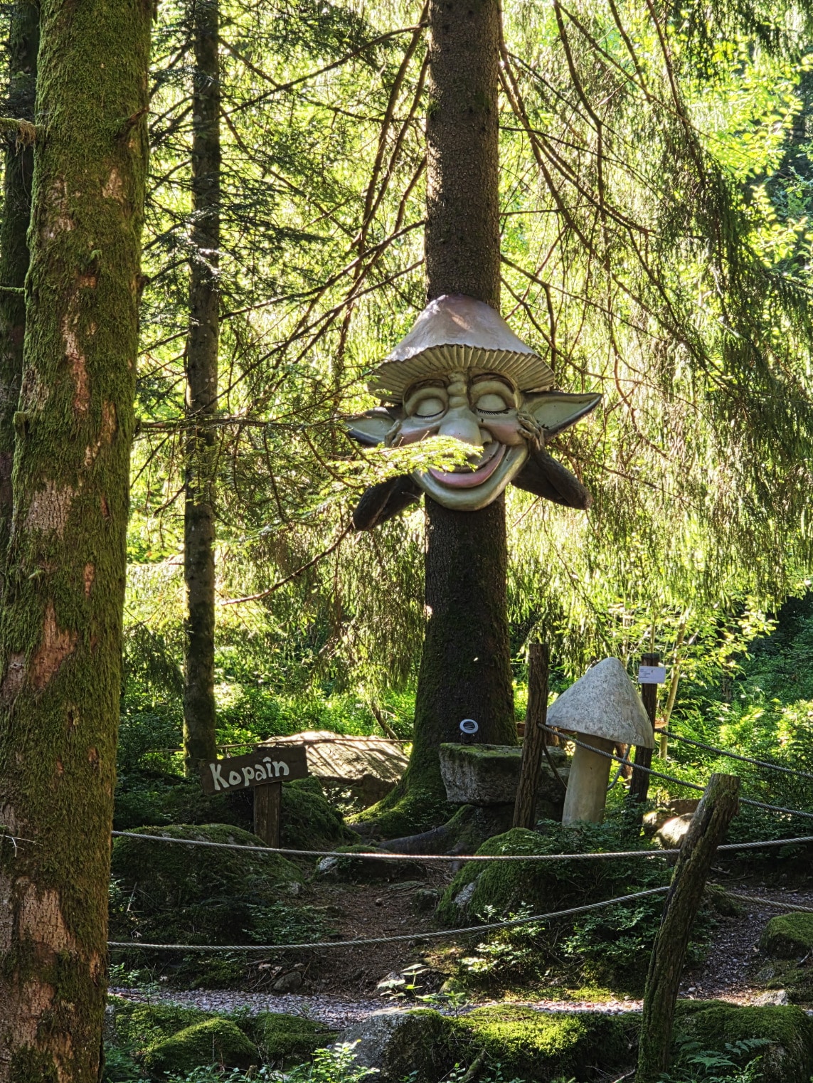 le bois des lutins la bresse tarif