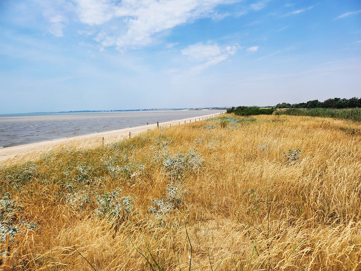 réserve naturelle de moëze-oléron avis