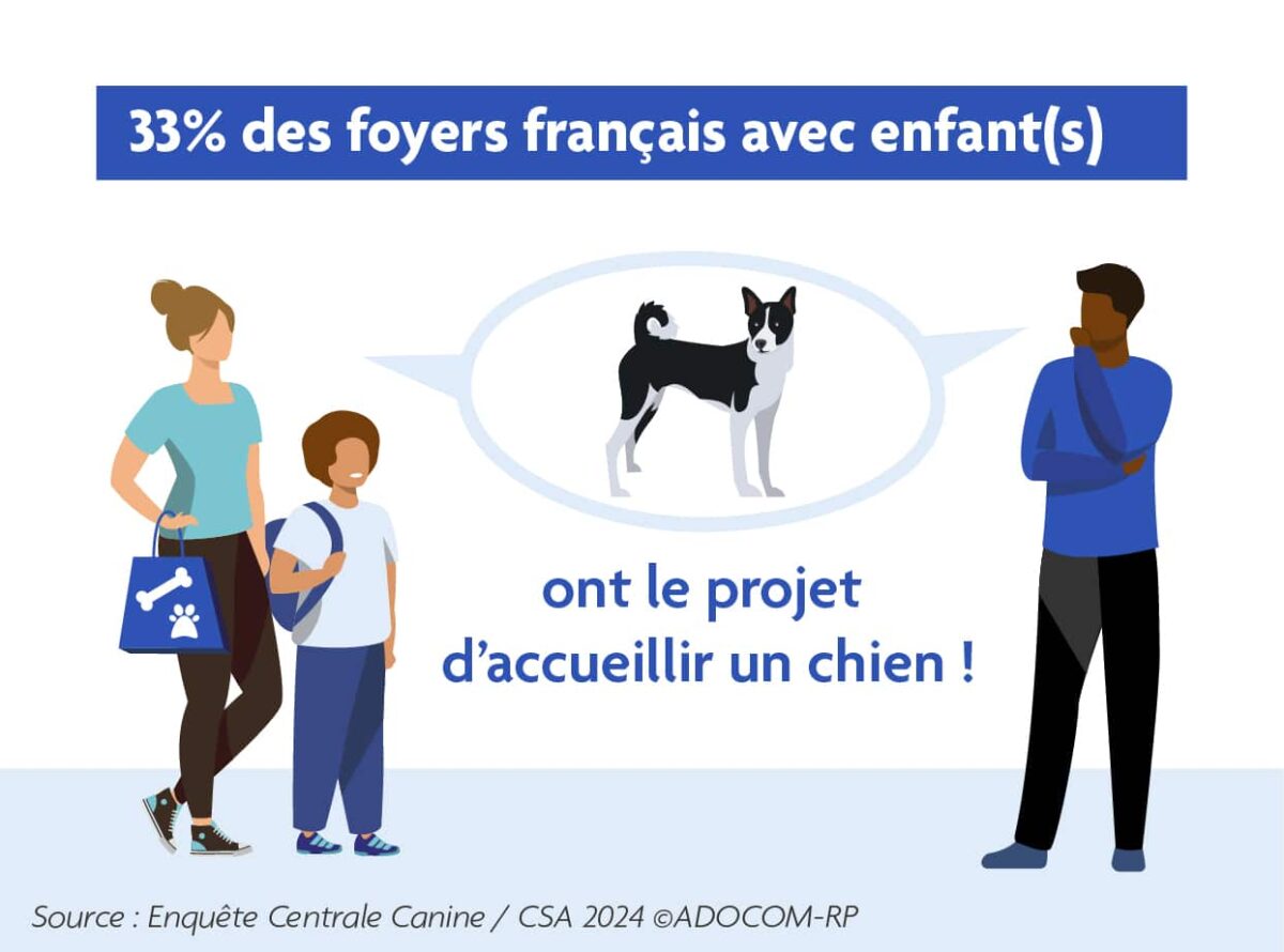 quel pourcentage de familles a un chien
