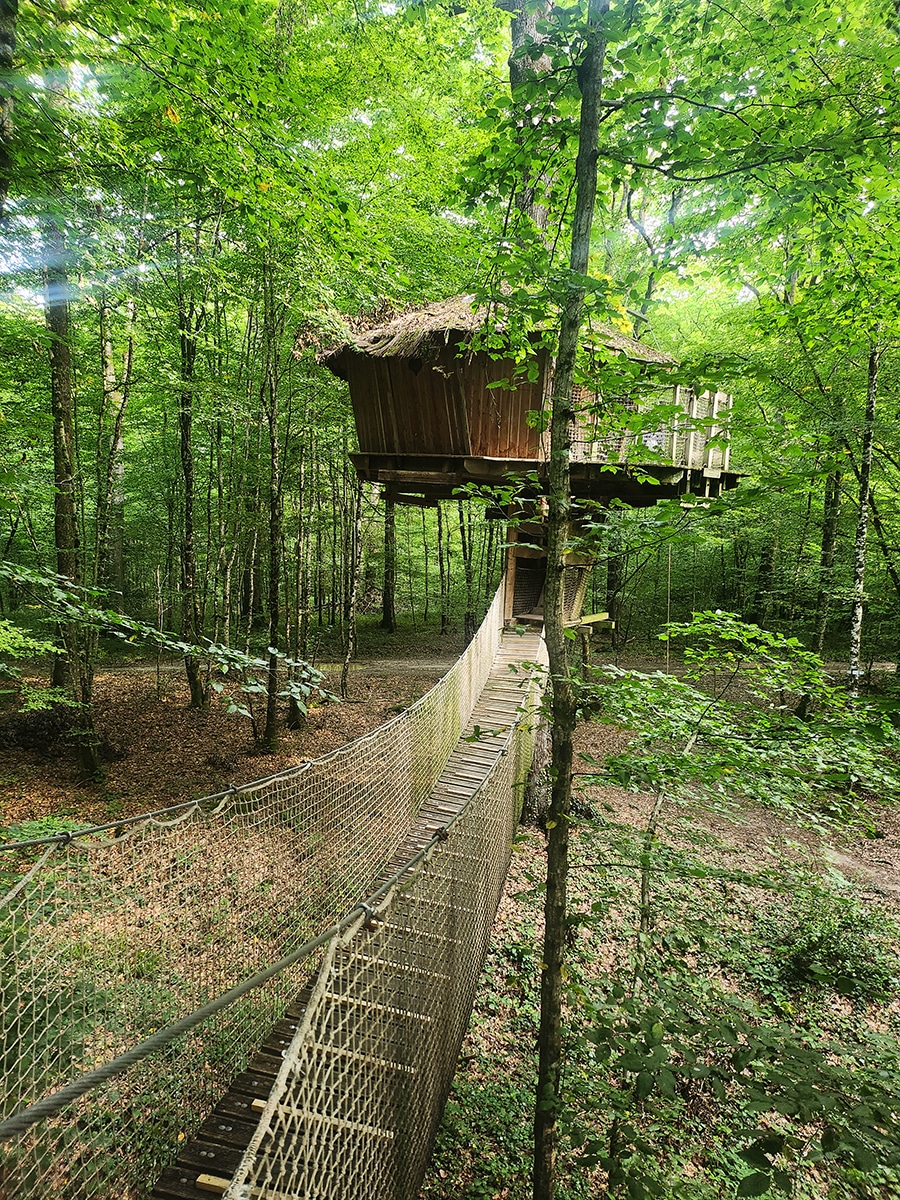 cabane dans les arbres lac du der