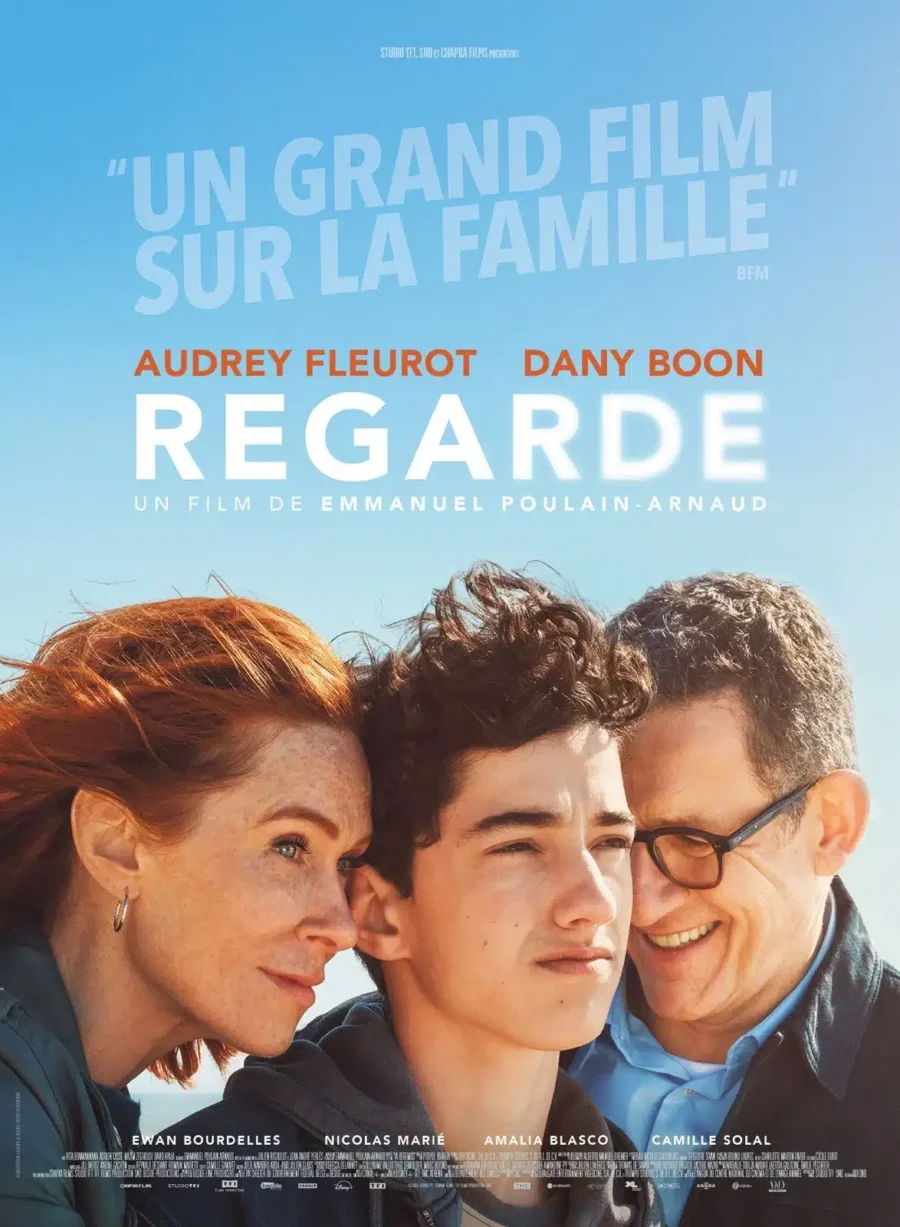 Regarde film dany boon avis