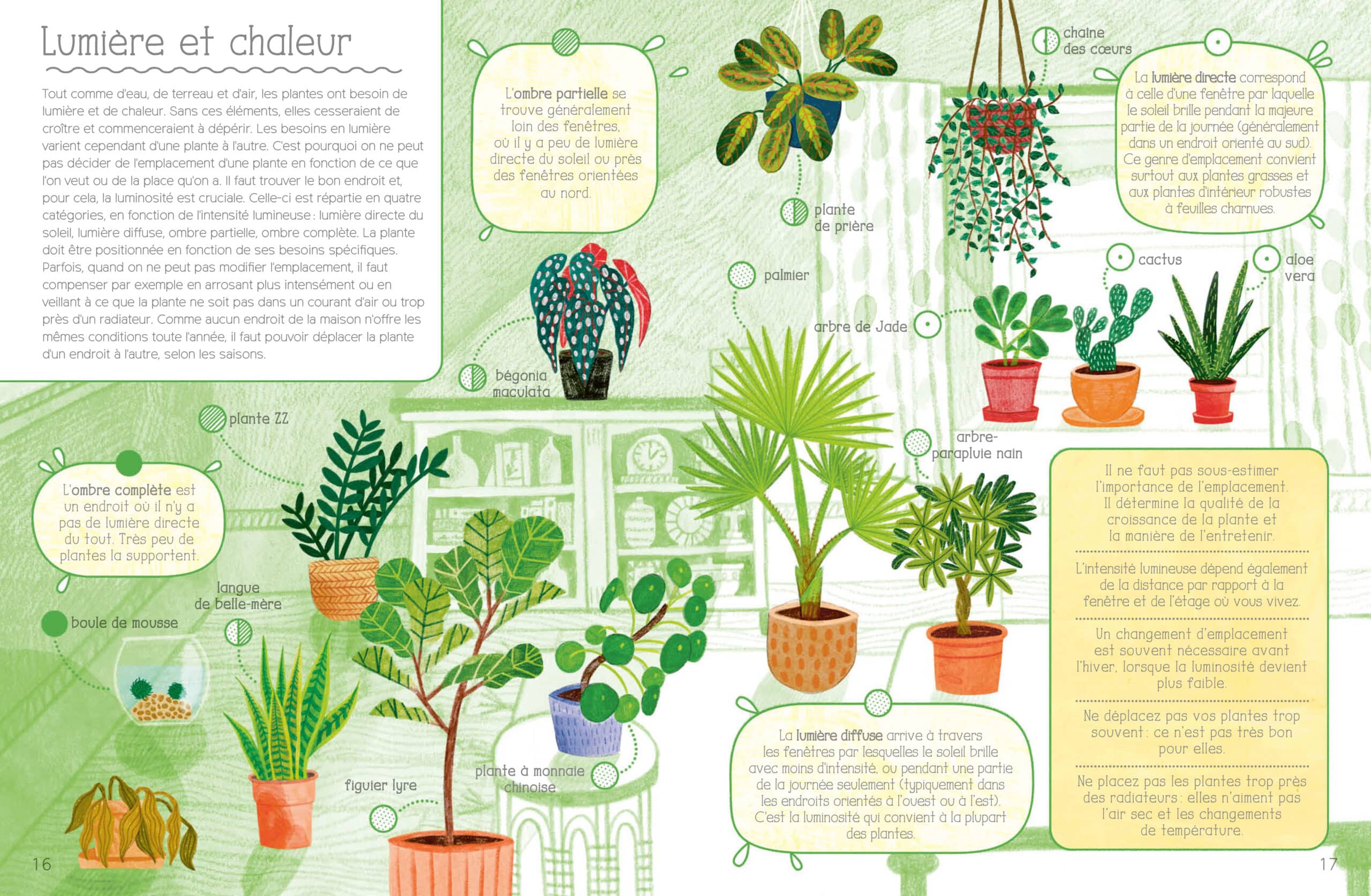 beau livre illustré sur l'entretien des plantes d'intérieur