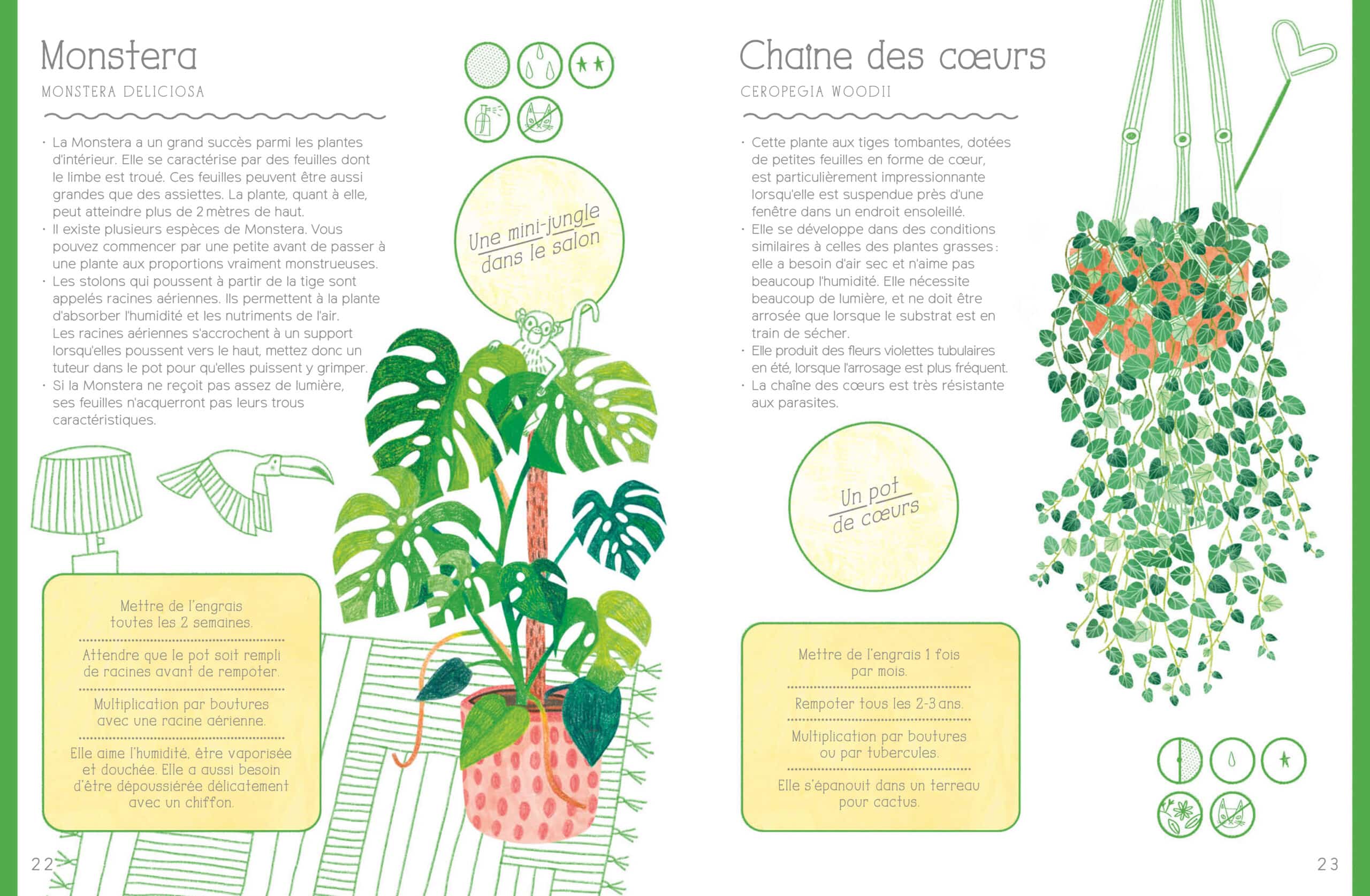 comment entretenir ses plantes d'intérieur livre