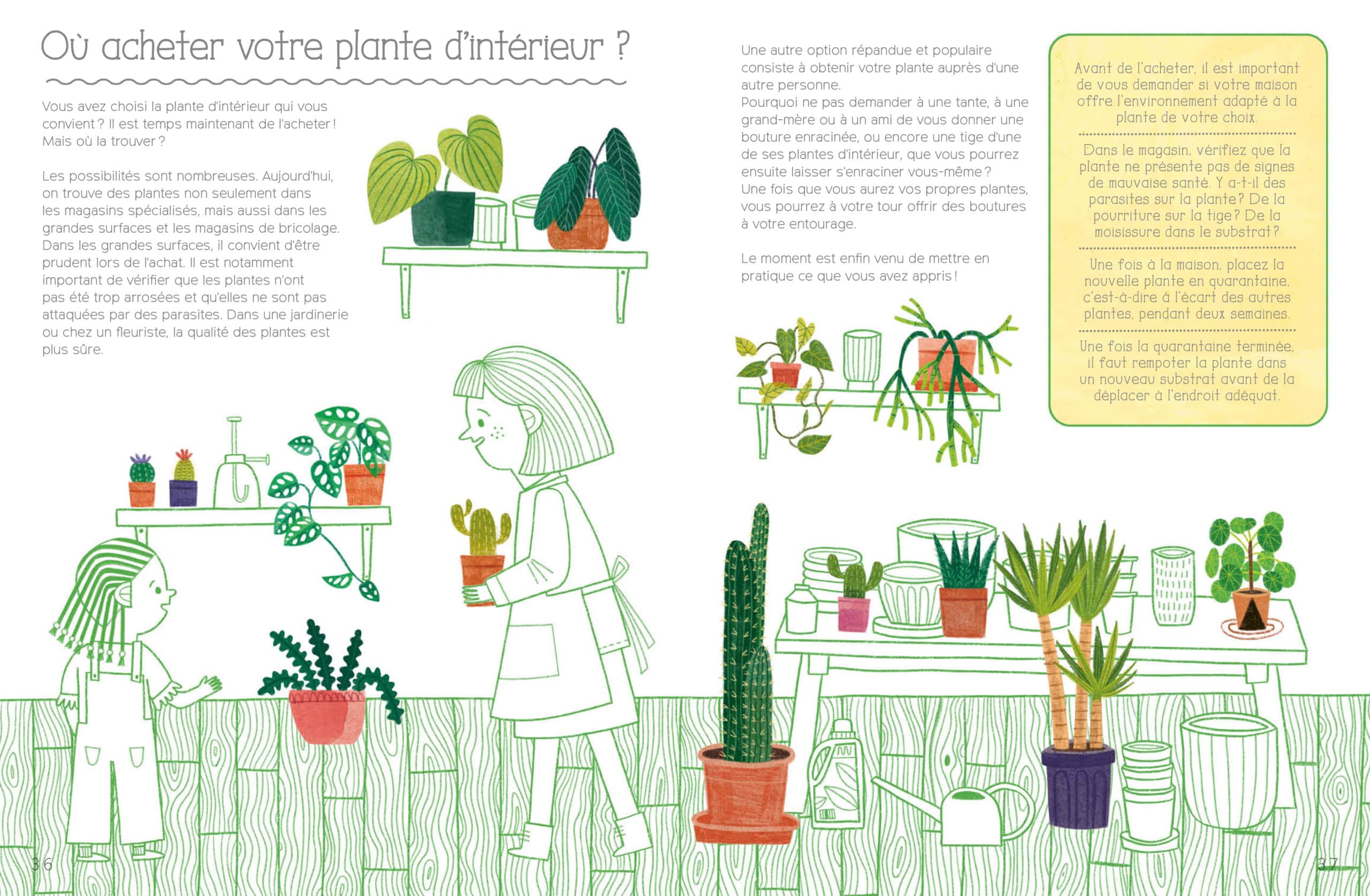 plantes d'intérieur livre chez albatros