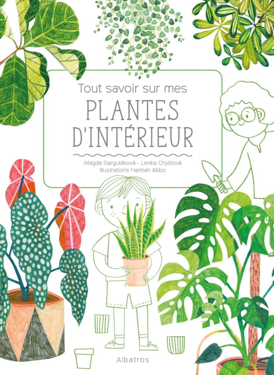 guide d'entretien des plantes d'intérieur pour enfant