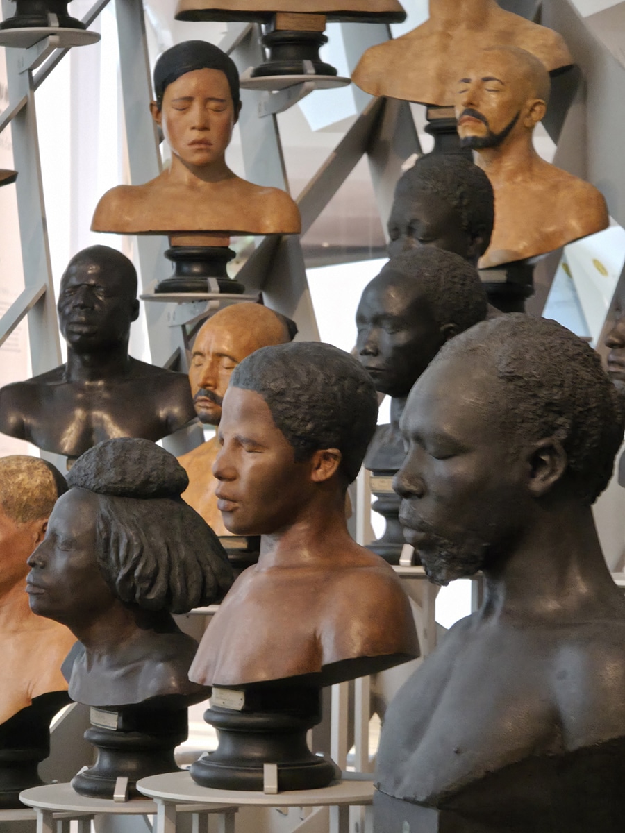 visites guidées musée de l'homme