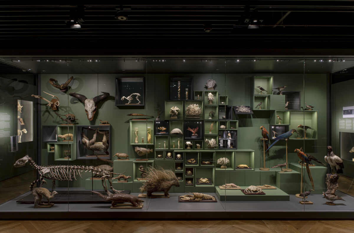musée zoologique strasbourg avis
