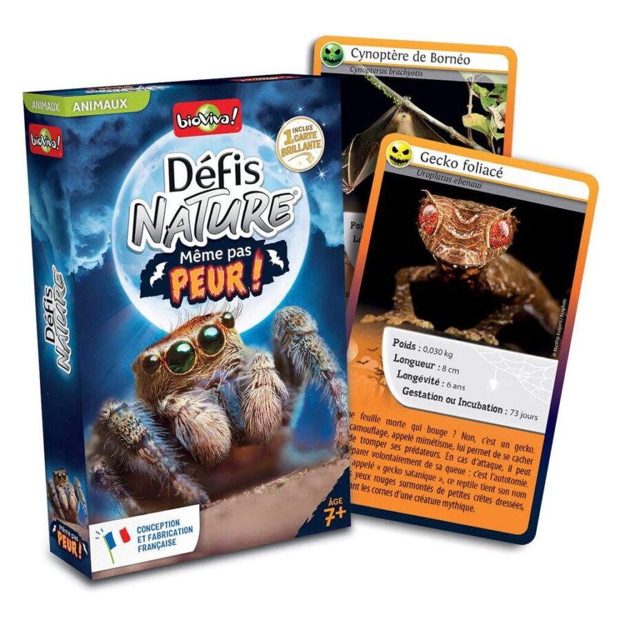 quel jeu pour animer une soirée halloween avec des enfants