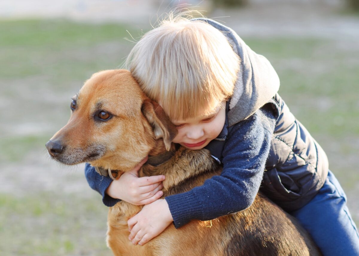 règles de sécurité chien enfant