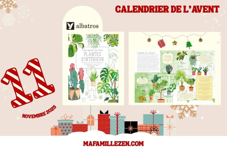concours Albatros Mafamillezen
