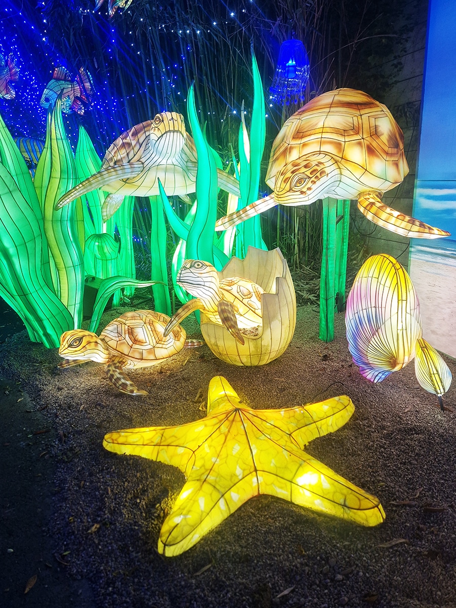 parcours lumineux zoo amneville