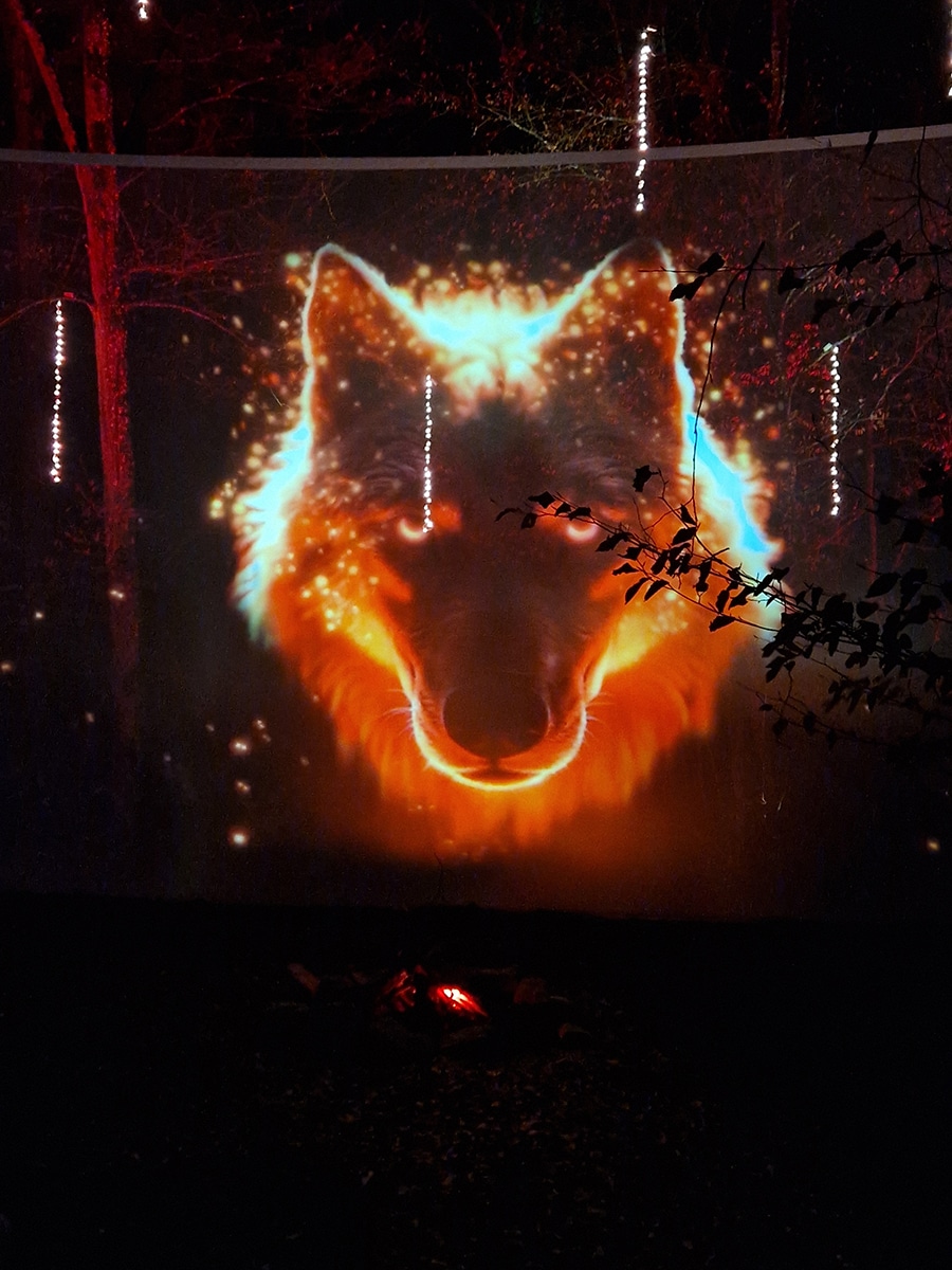 noel parc animalier sainte croix