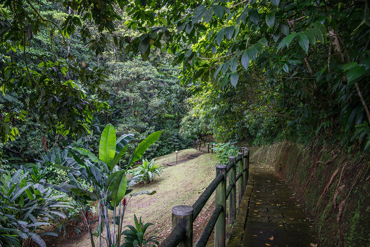 domaine d'émeraude martinique avis