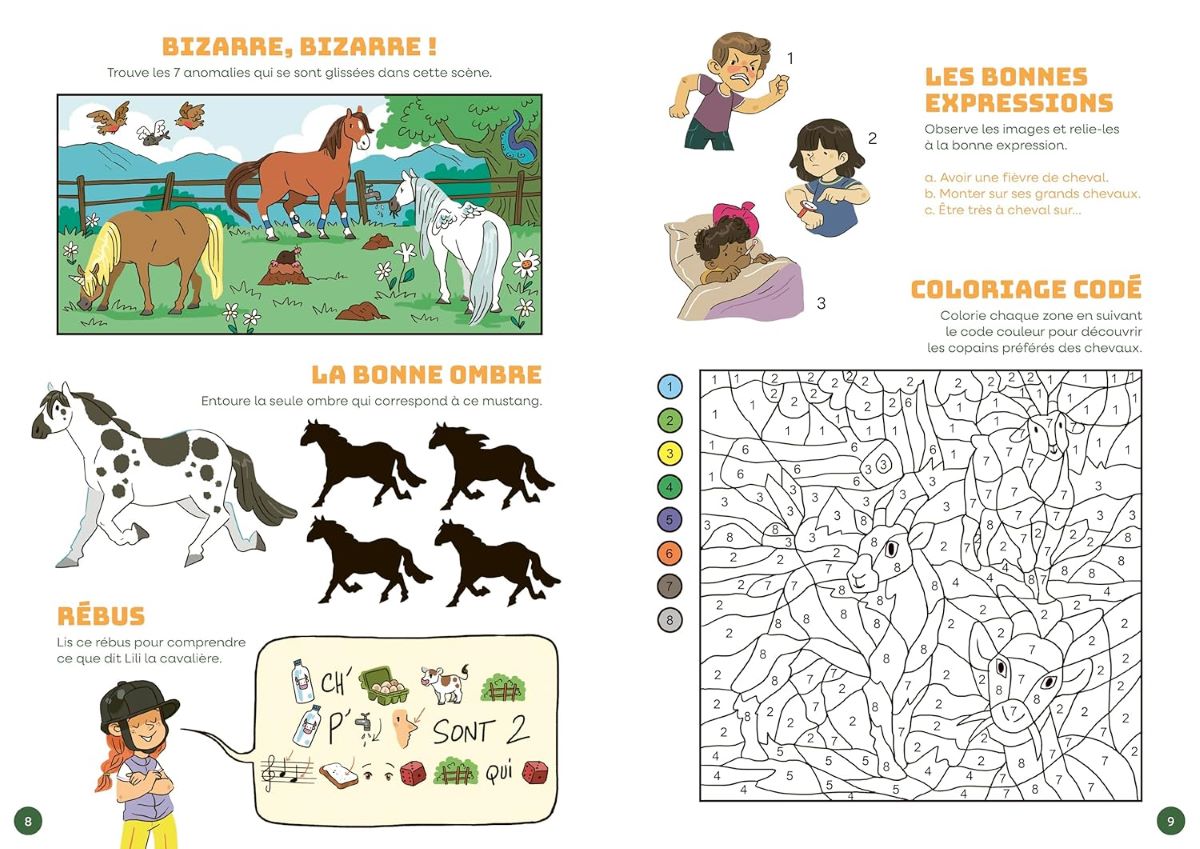 120 jeux chevaux avis