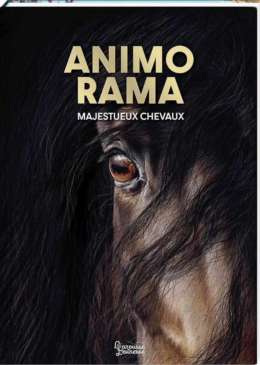 Animo Rama, majestueux chevaux livre avis