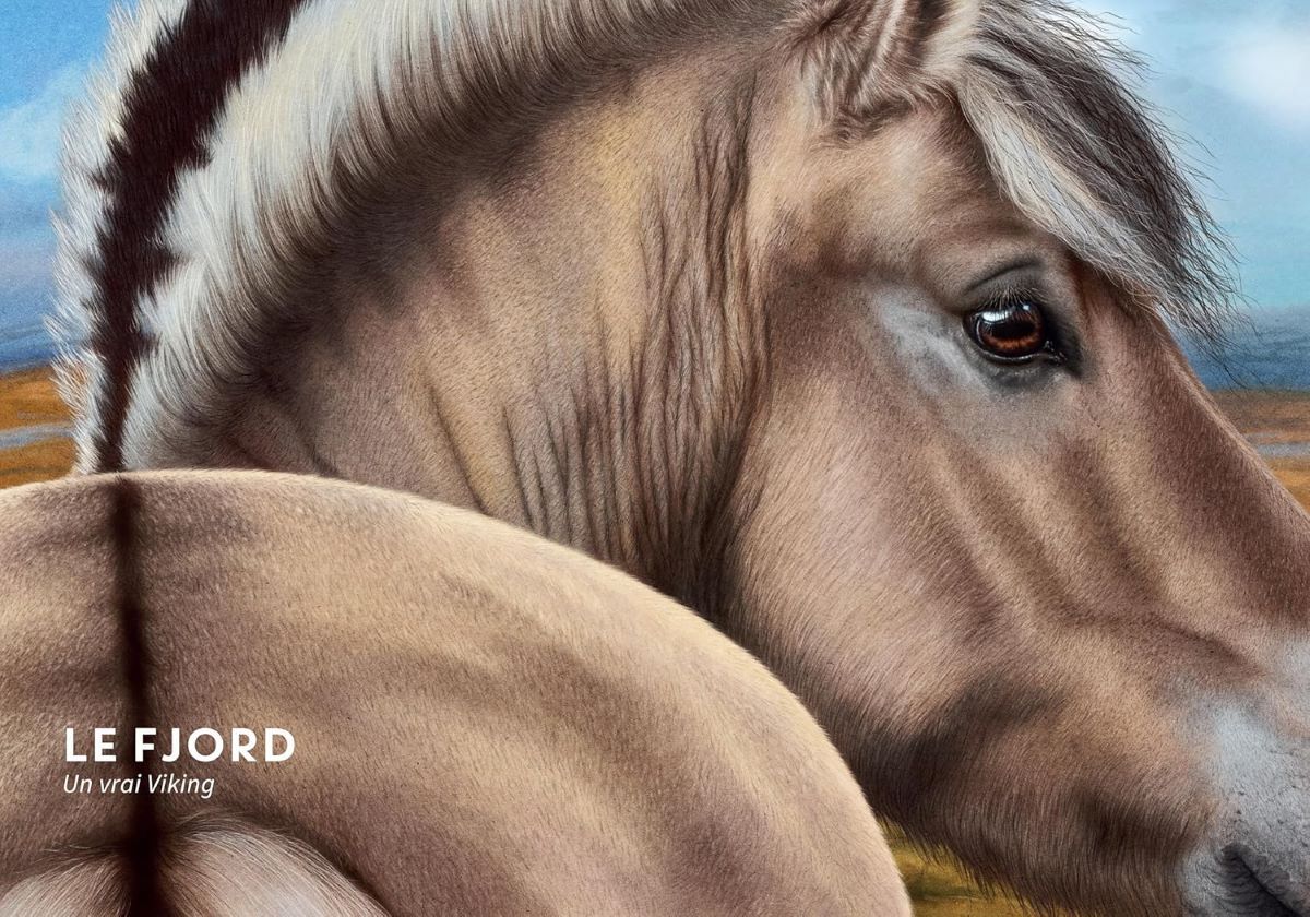 documentaire sur les chevaux à lire