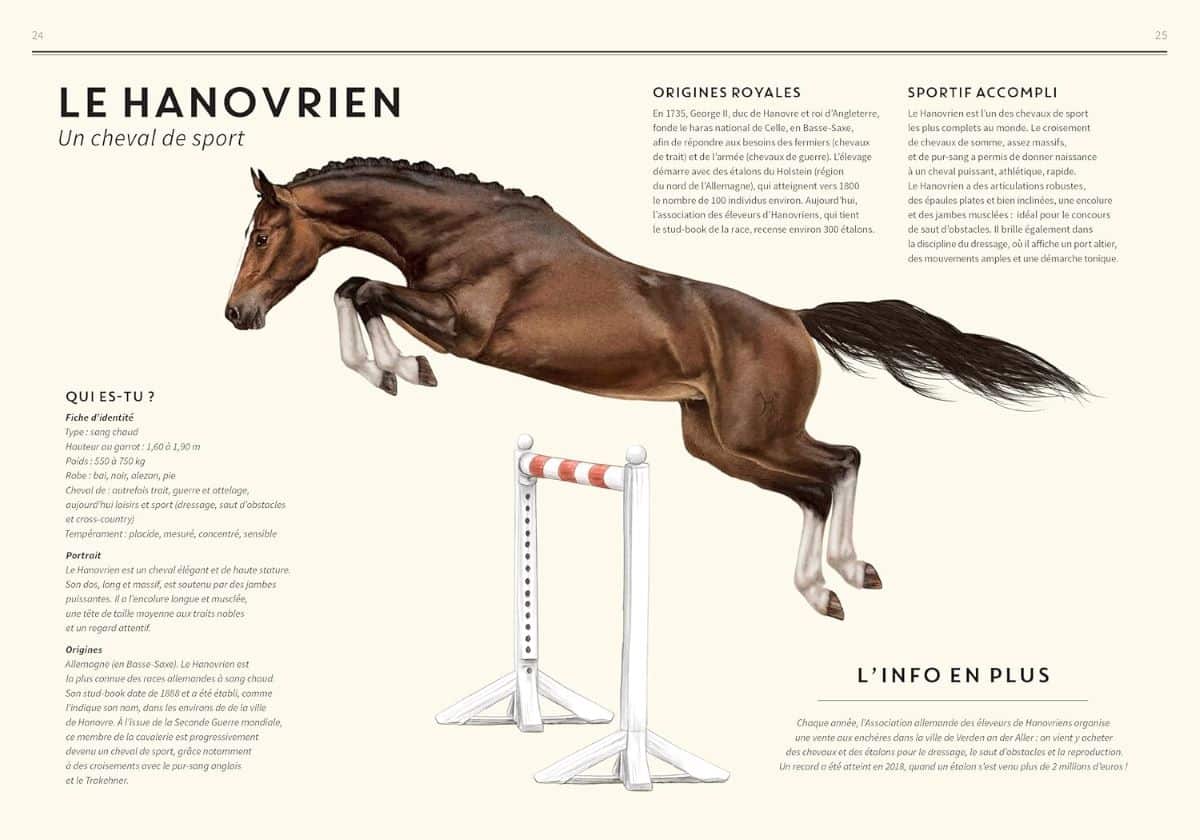 chevaux documentaire jeunesse