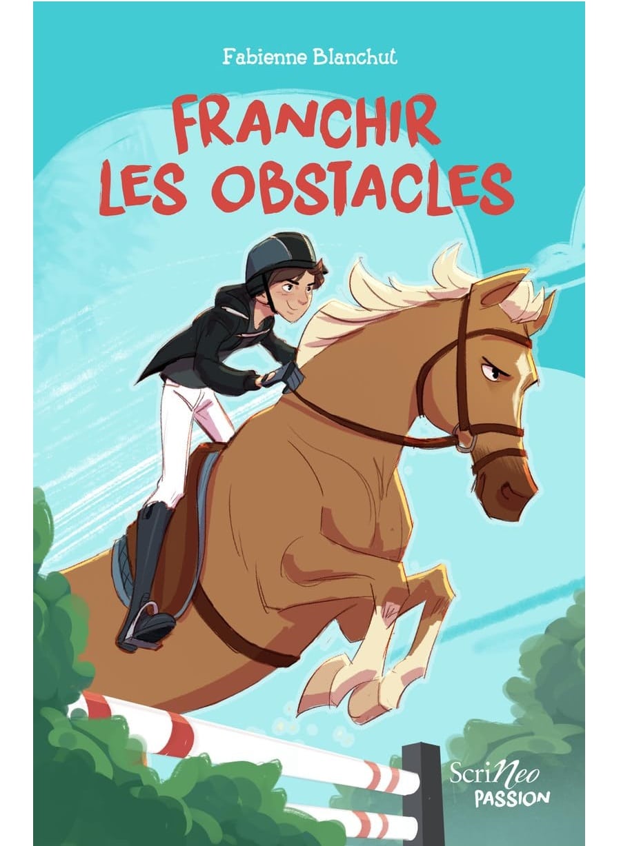 franchir les obstacles roman avis