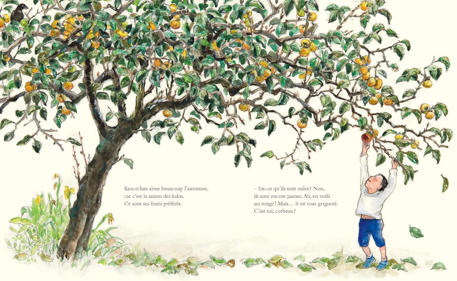 livre enfant sur la transmission intergénérationnelle