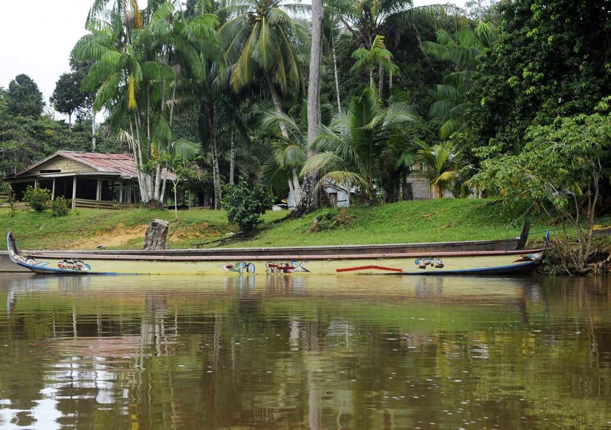 naviguer en pirogue sur le fleuve maroni