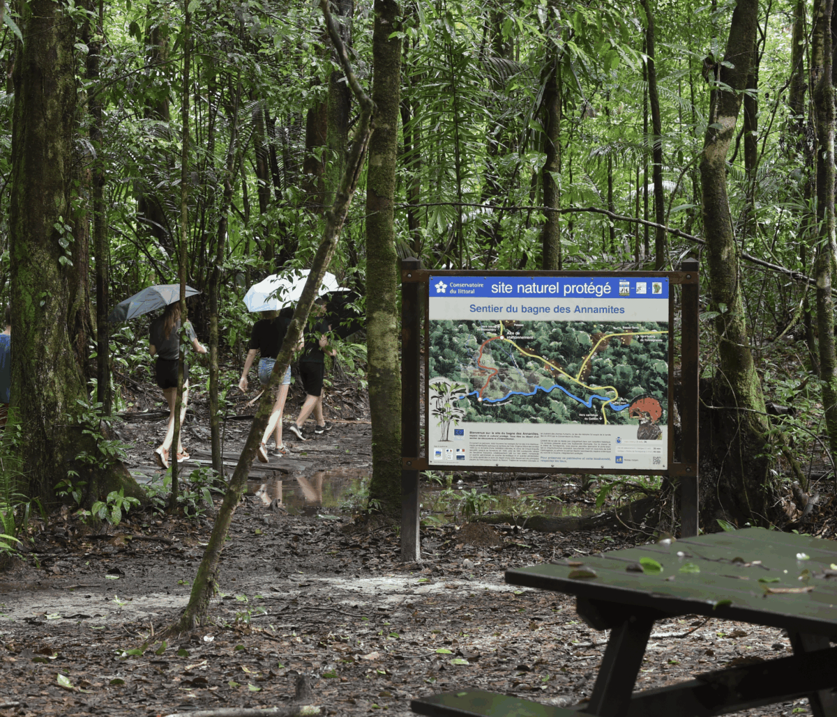 sentier du bagne des annamites guyane