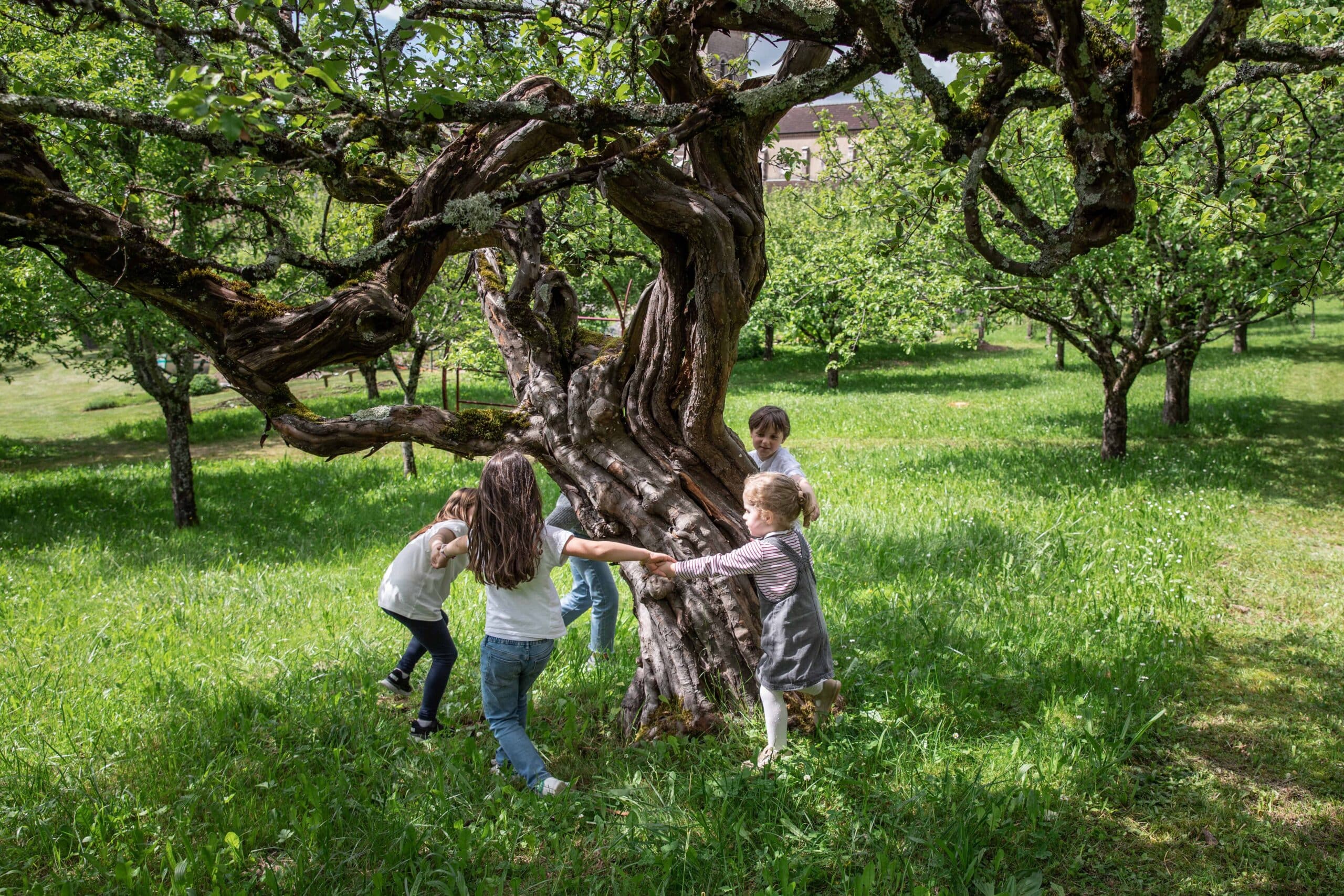 enfants jouant dans verger conservatoire musée du revermont Cuisiat