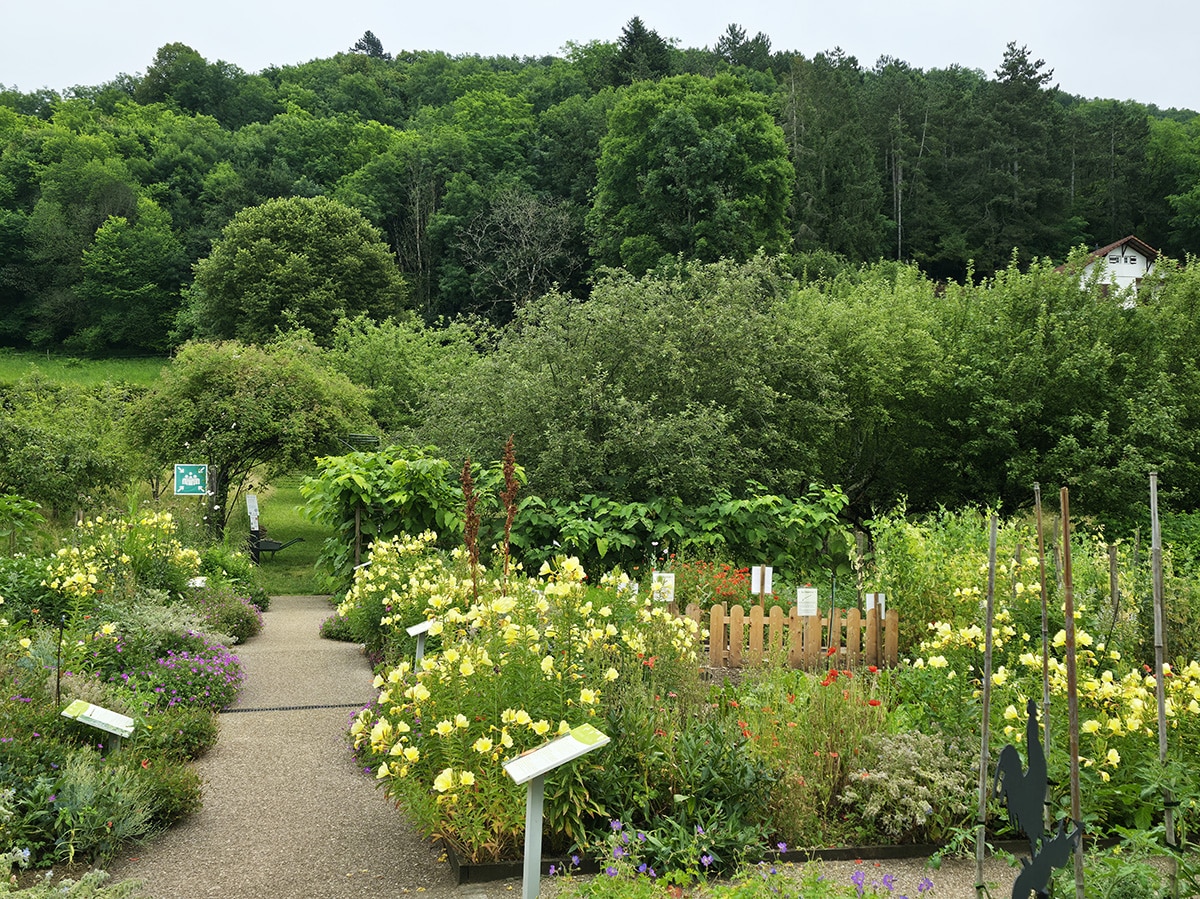 jardin pédagogique musée du revermont Cuisiat