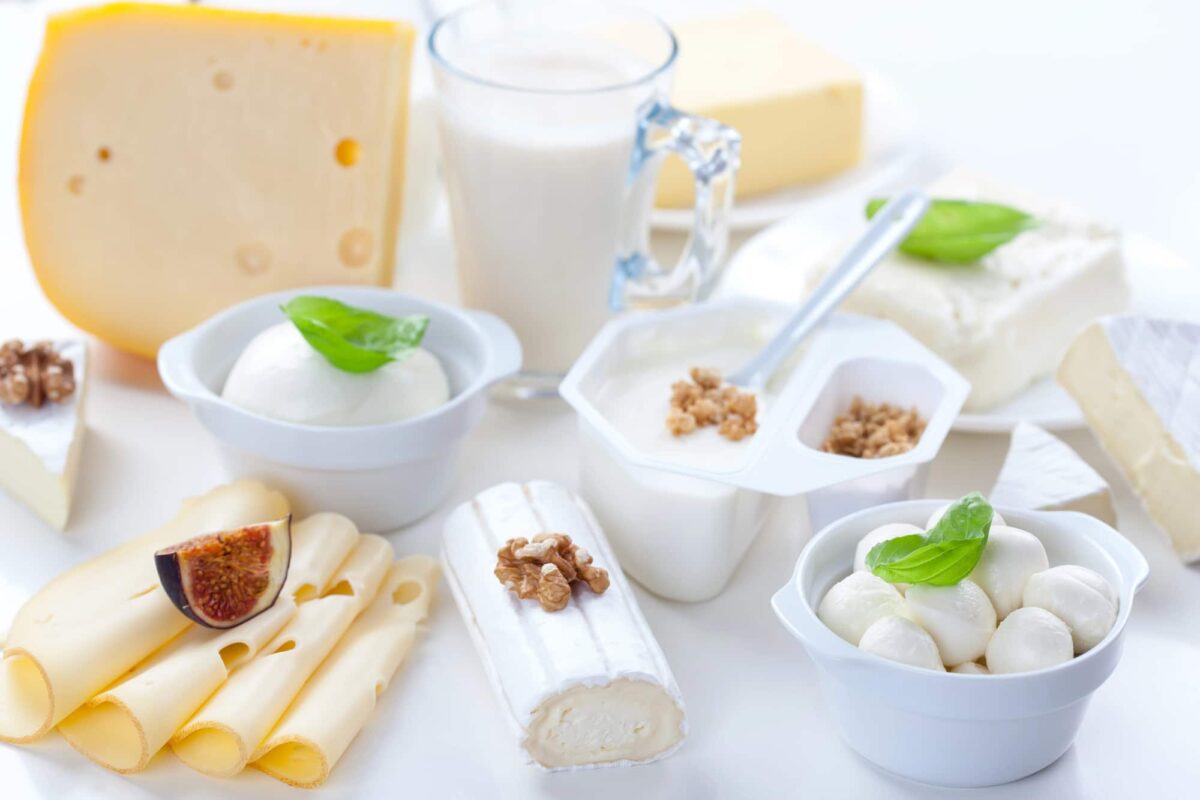 assortiment produits laitiers riches en calcium