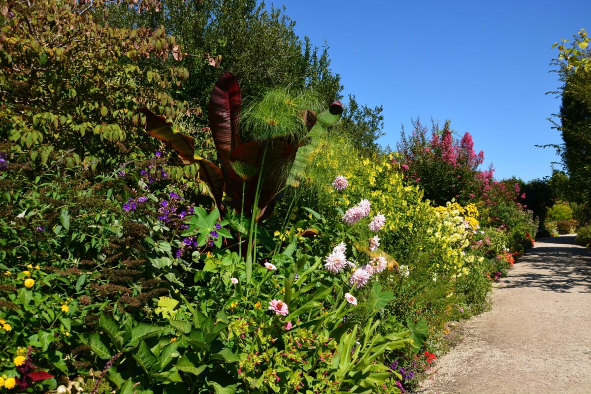 Mimizan promenade fleurie