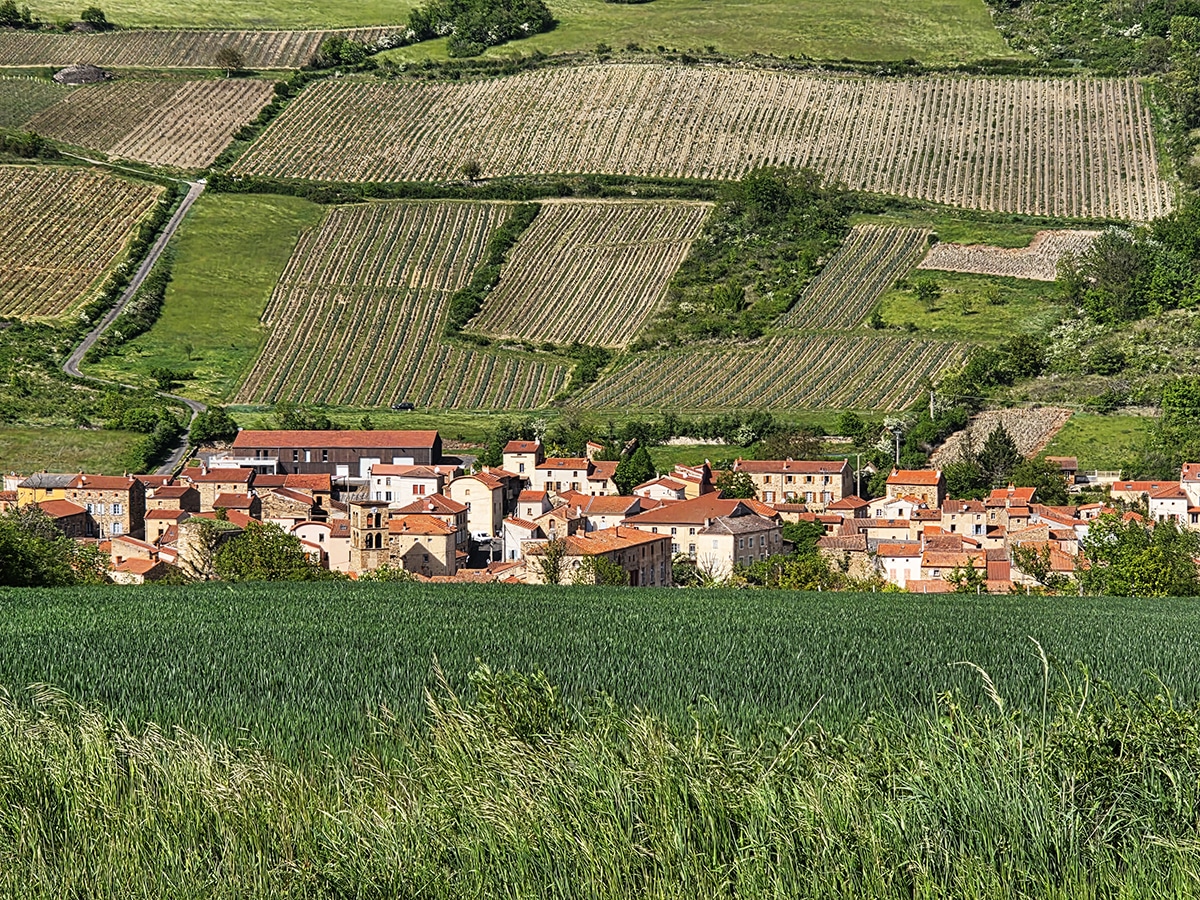 vue village de boudes entouré de vignes, puy de dome