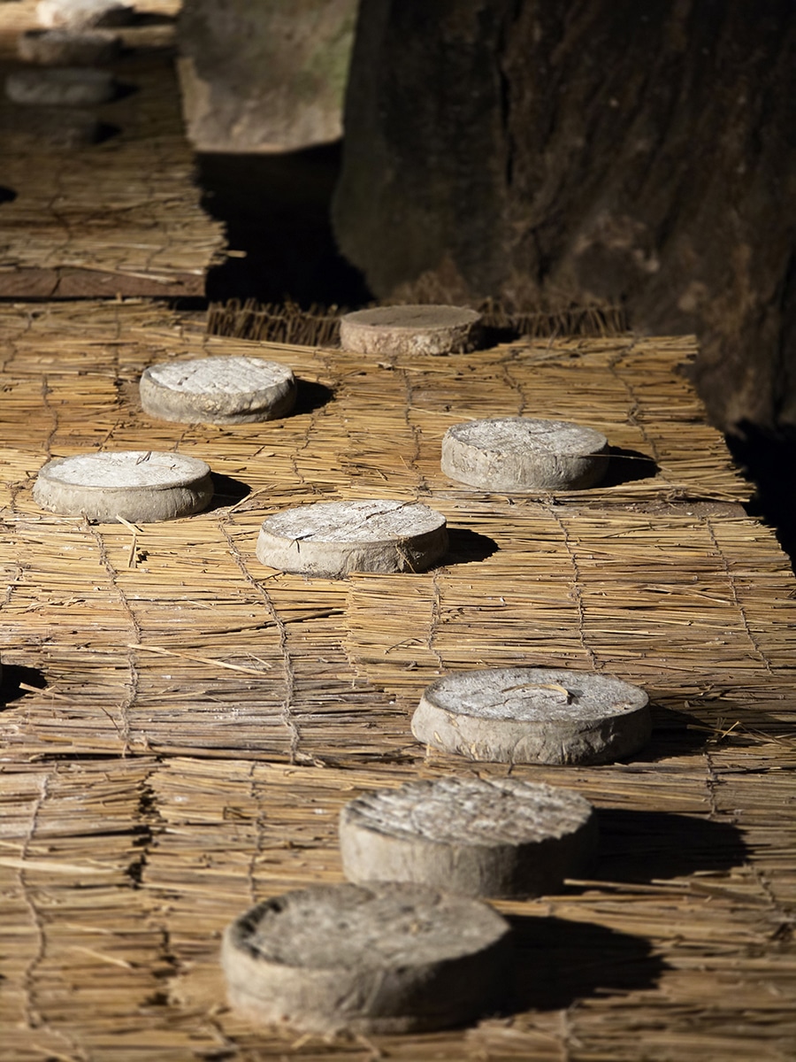 Le Mystère des Farges caves saint-nectaire