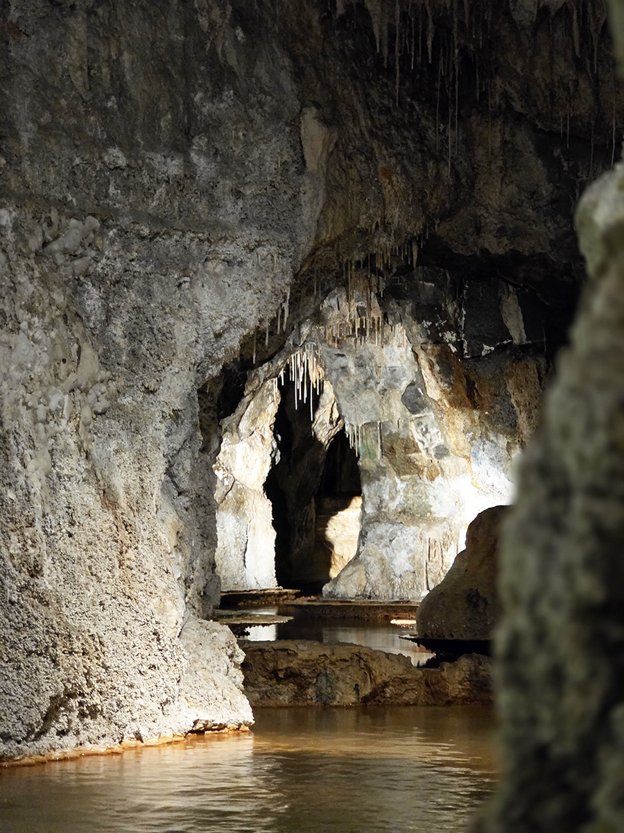 grottes saint-nectaires