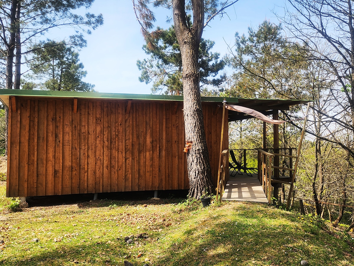 les cabanes de brocas à belus dans les landes