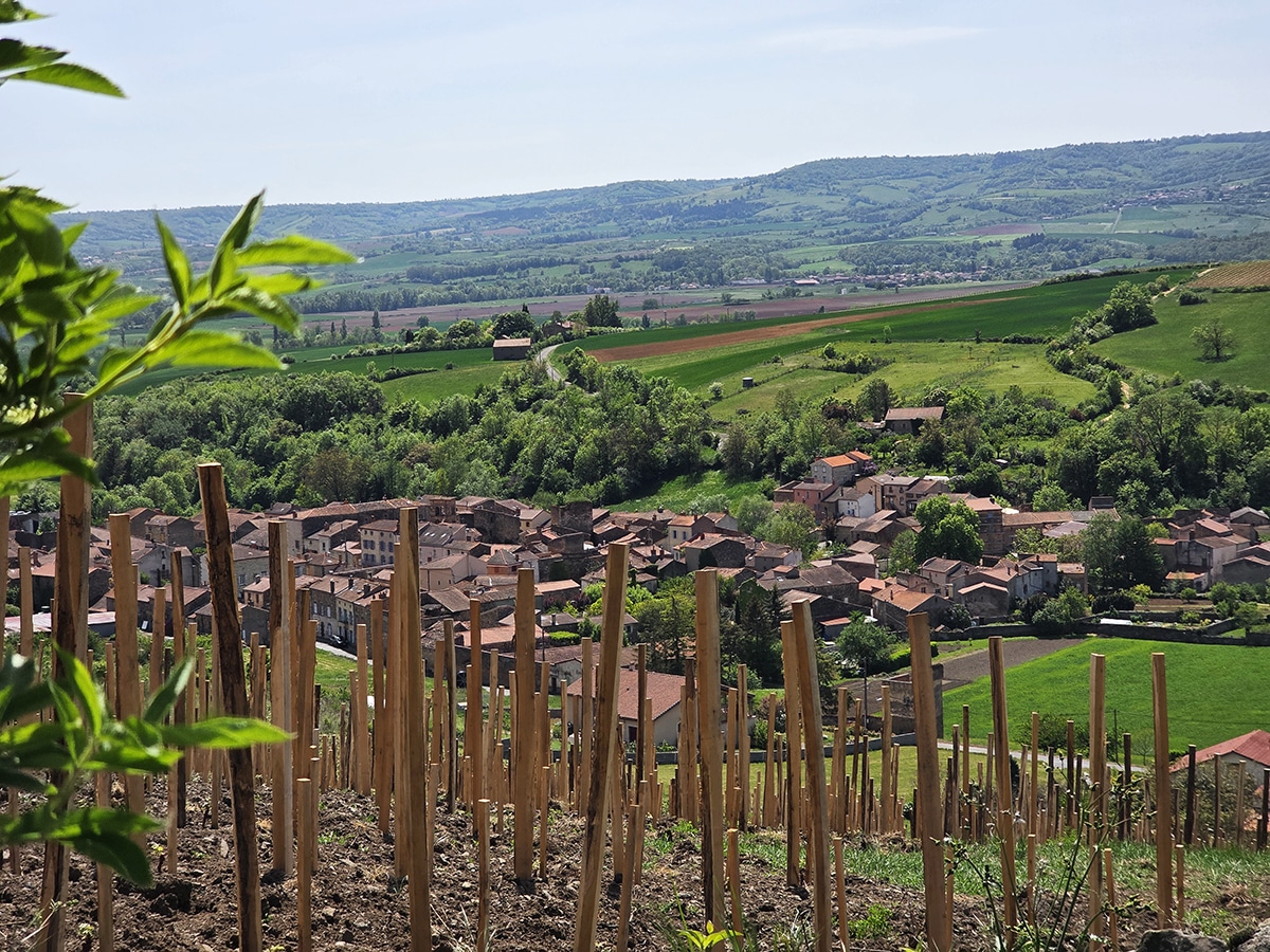 vue boudes depuis les vignes