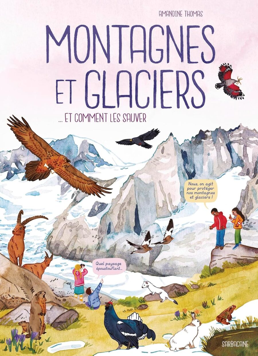 montagnes et glaciers comment les sauver livre avis