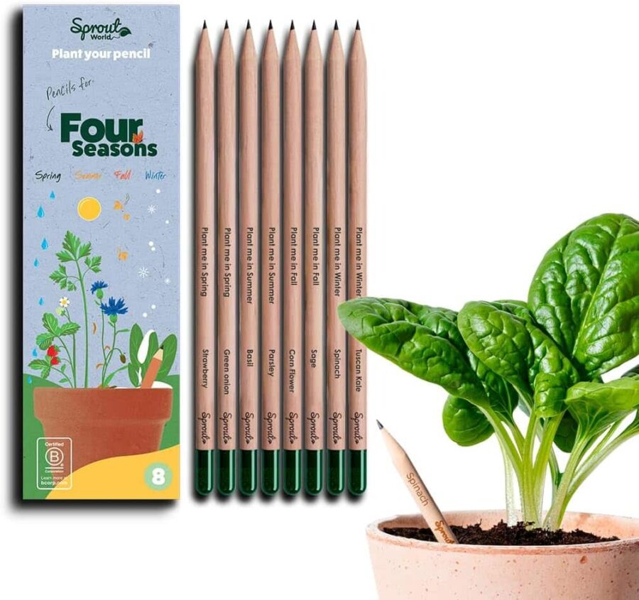 crayons à planter sprout world