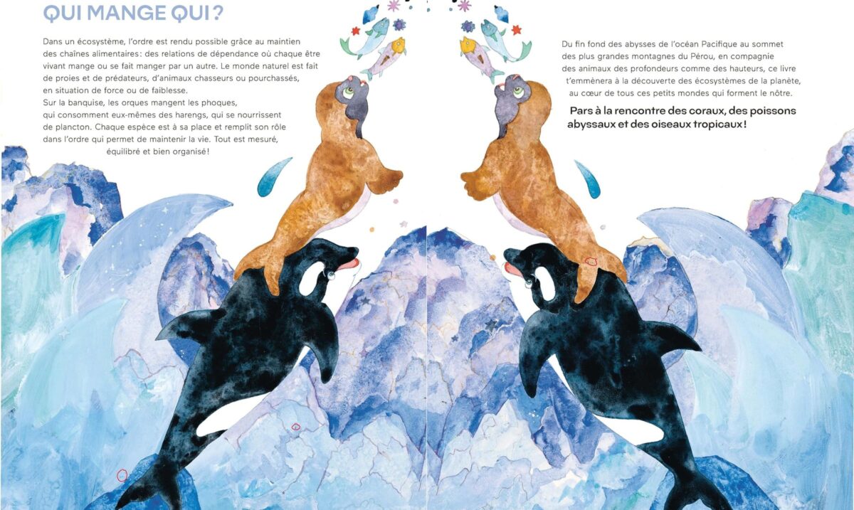 livre enfant sur la nature
